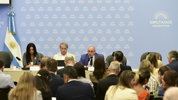 Ley de Glaciares: Picón dice que el que no apoye no defiende a San Juan y Peluc asegura que tienen los votos Ley de Glaciares: Picón dice que el que no apoye no defiende a San Juan y Peluc asegura que tienen los votos