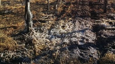 Pocito también tuvo un arranque congelado