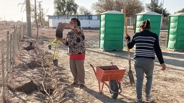 Bosques nativos: la Provincia trabaja en la integración de mujeres productoras