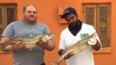 Pesca gigante en Cuesta del Viento: atraparon un pejerrey de casi 4kg