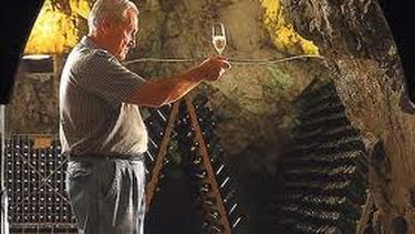 Se fijó un grado de 12,3 % v/v para los vinos blancos y de color