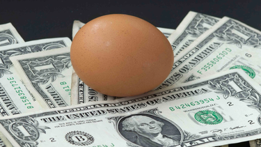El precio de los huevos, un curioso problema de la economía de Estados Unidos