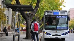 ¿Se vienen las paradas de colectivo cada cuatro cuadras?