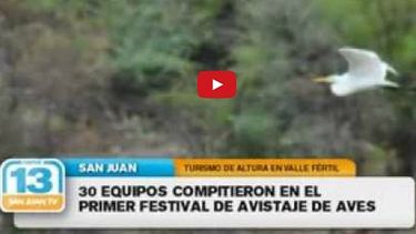 Mirá el espectacular resultado del primer Festival de Avistaje de Aves