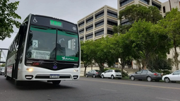 Así funcionarán los colectivos para Año Nuevo en San Juan