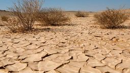 La desertificación es uno de los grandes problemas que enfrenta el mundo y San Juan no está ajena