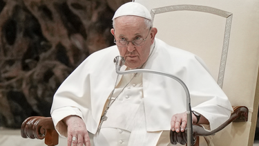 El papa Francisco, durante una audiencia en el Vaticano.