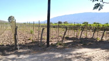 Nace otro escándalo: una ruta, ríos y puentes, a manos privadas