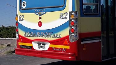 Un colectivero mató un perro y estalló la furia en las redes