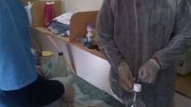 Cronograma de esterilización de mascotas para junio