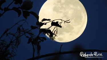 Así se vio la superluna en Jáchal