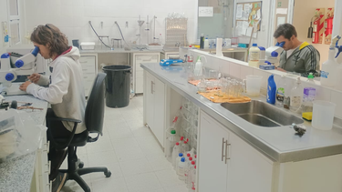 Controlan más de 600 hectáreas de cultivos semilleros en el Valle de Tulum