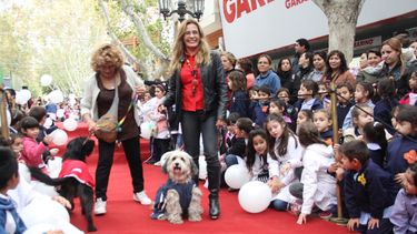 Bajo el frío otoñal, grandes y chicos lucieron sus mascotas en la Peatonal
