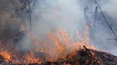 Bomberos le pelea al Zonda en tres frentes diferentes