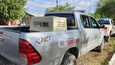 Por orden judicial, trasladaron a un refugio al perro que atacó al pequeño Dilan en Chimbas