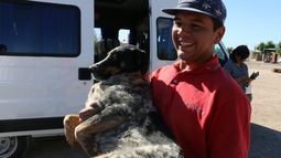 Esta vez, la villa se va y los perritos también