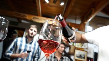 El consumo de vino mostró una leve mejora en enero en el país, pero los despachos desde San Juan se desplomaron más del 50% frente al mismo mes del año pasado.