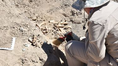 Sigue el misterio con los esqueletos de Jáchal: investigará la UNSJ