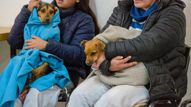 A modo de prevención, la Secretaría de Ambiente reforzó los operativos de capacitación y esterilización en Calingasta tras las denuncias de vecinos por la presencia de jaurías peligrosas.