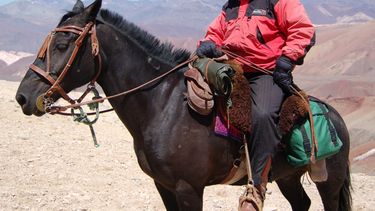 El drama de Julio Coll