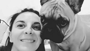 Explosión en Trinidad: piden ayuda para Simón, el perro y compañero de Melina