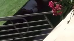 Escracharon a sanjuaninos que se pusieron demasiado románticos en el Centro Cívico