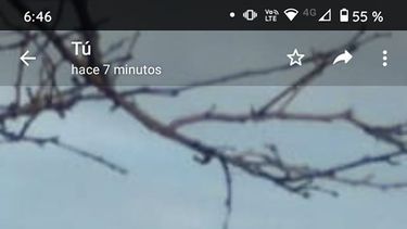 ¿Un OVNI sobrevoló el barrio Aramburu?