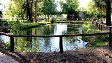 El Parque de la Biodiversidad, sede de una maratón infantil