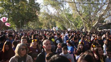 Una multitud participó de la Peregrinación a Fátima