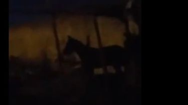 Ahí viene, ahí viene: escalofriante grabación de duendes en un conocido barrio de Rawson