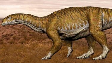 Ingentia Prima, el dino sanjuanino, entre los 5 hitos de la ciencia argentina