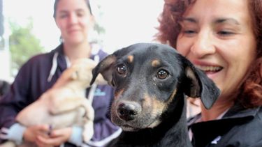 Funcionamiento del Quirófano Móvil en Chimbas