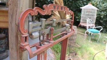 El increíble mundo antiguo que se esconde en la naturaleza del Médano de Oro