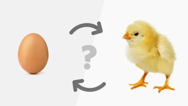 El misterio sobre si primero fue el huevo o la gallina parece haber llegado a su final.