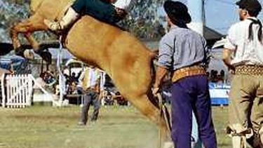 XXI Fiesta de Jineteada y Destreza Criolla por el día Del Trabajador