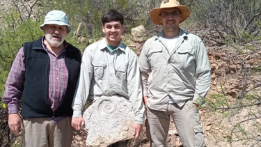 En San Juan encontraron una especie de 470.000.000 de años