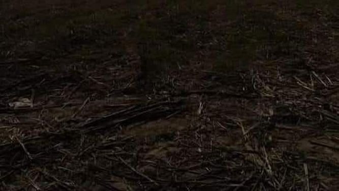 Antes del debate por el aborto, sanjuanina vio un “mensaje del cielo”