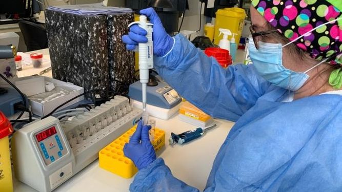 Gran demanda de PCR en los centros privados: mirá cuánto pagan los sanjuaninos para no hacer fila