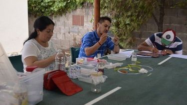 Salud Pública realiza vigilancia para prevenir el dengue, zika y chikungunya