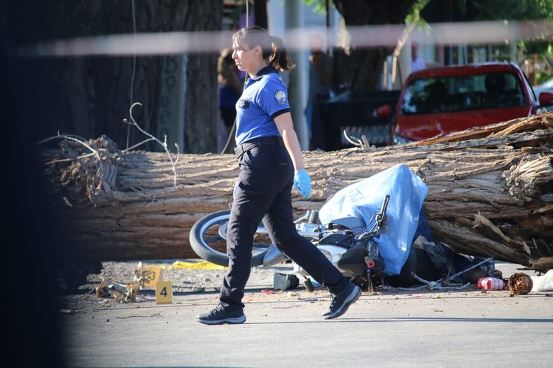 Padre e hijo fueron aplastados por un árbol y murió uno de ellos