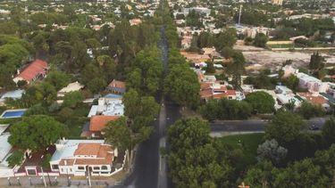 Capital hará un censo georeferenciado del arbolado público