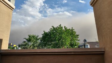 Un niño herido, árboles y postes caídos: lo que dejó el ventarrón en San Juan