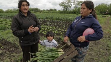 La mujer en departamentos alejados: “La situación laboral es muy precaria”