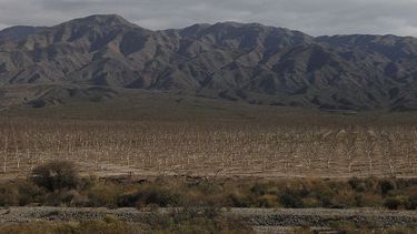 Inédito: 25 de Mayo venderá lotes a precios accesibles a los vecinos