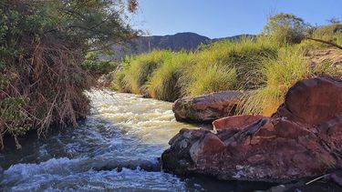 Santuario de aves y cuna de dinosaurios: el espectáculo de pasear en La Ciénaga