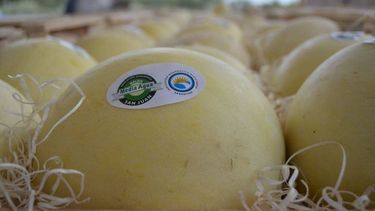 El melón sanjuanino en la Plaza de Desamparados