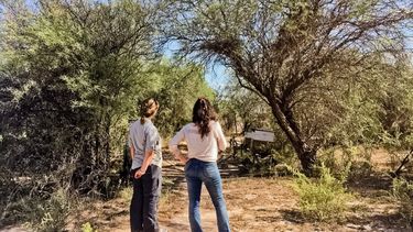 A través de este registro los particulares que sean titulares de terrenos con bosques nativos podrán acceder a un listado de personas habilitadas.