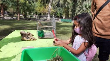 Una opción para el Día del Niño, gratis y en contacto con los animalitos