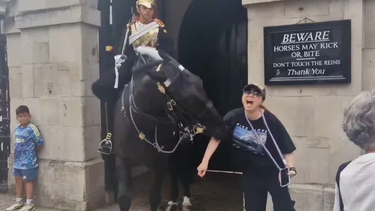 Otro turista captó el momento en el que el caballo de la Guardia Real británica mordió a la mujer que pretendía sacarse una foto a su lado.