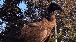 Foto gentileza: Actualidad Jachallera.